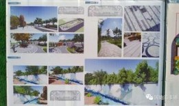 固始今日爆料,聚焦热点事件，揭秘幕后真相